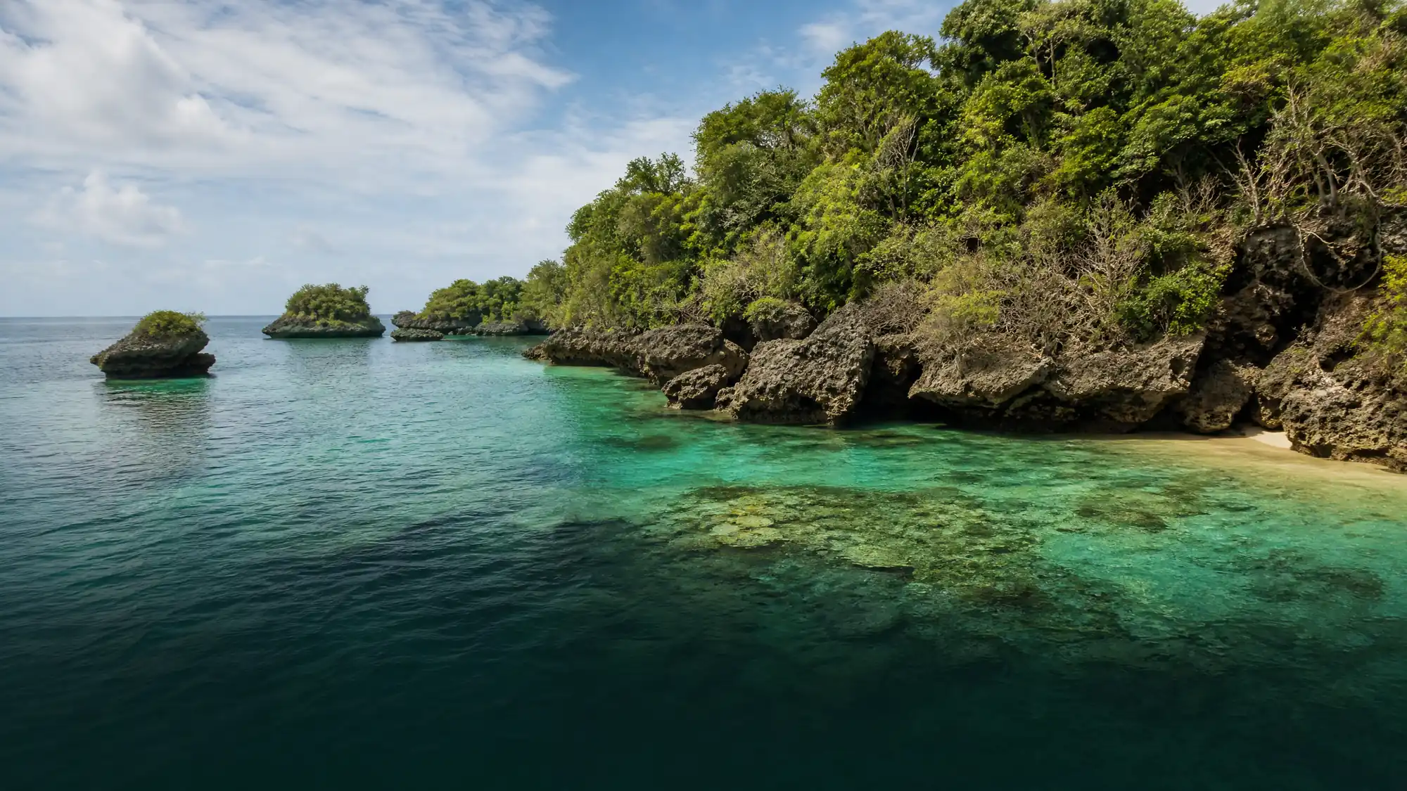 Explora 39 kilómetros cuadrados de océano protegido frente a la costa de Kenia. Nada cerca de jardines de coral, observa delfines residentes y visita la cercana isla Wasini.