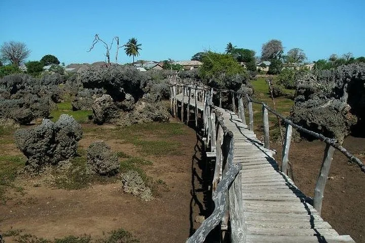 Un sendero de pasarela de madera que serpentea entre un paisaje de formaciones de roca coralina.